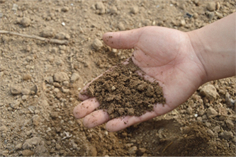 土壤固废检测